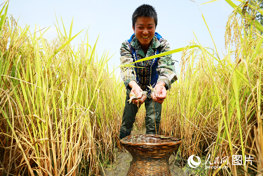 202092ʡИhlͨﵾ˽SgBֳ~СһڵвƵ~Ĳ/z