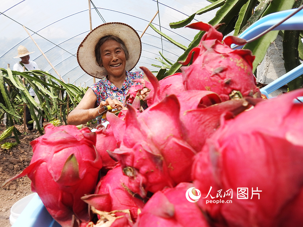 202098Ĵʡ_и^lt4MNֲlrƽӢңڲժ_tĻ/z