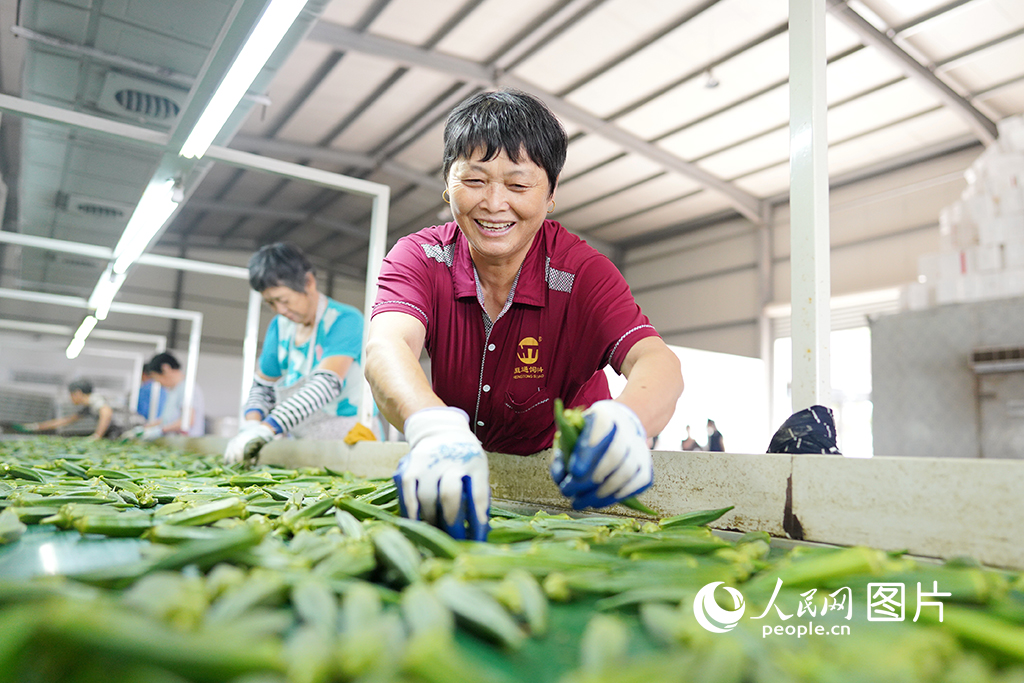 202099λ㽭ʡϝ^ƭI悵߷Nֲ@rxS/z