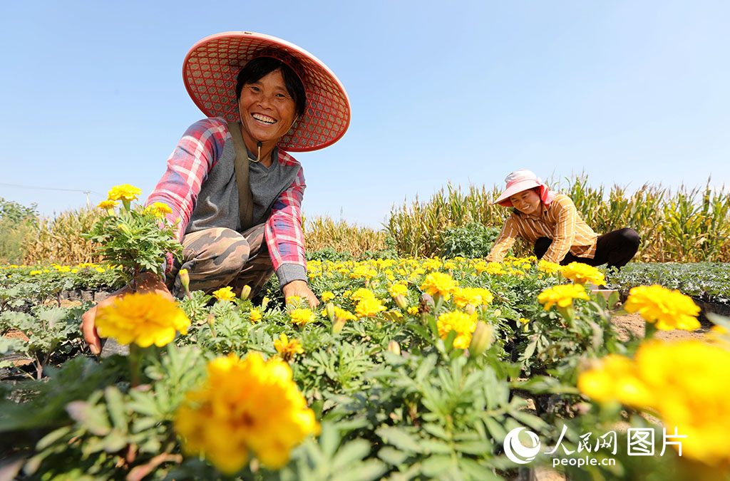 2020919ʡϪhf廨ܻræb܇NcgrЈ/z