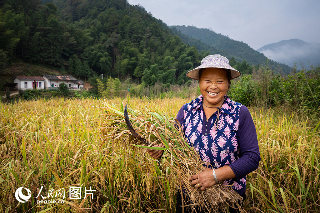 2020913hlǴNN/z