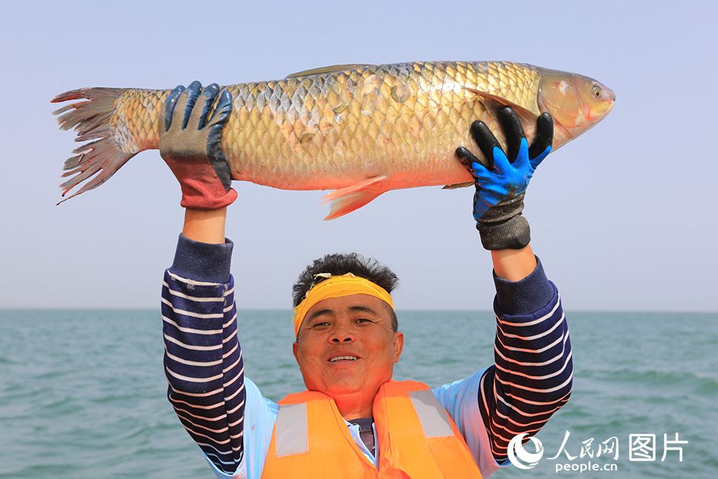 2020921½˹vOչʾ@~/z