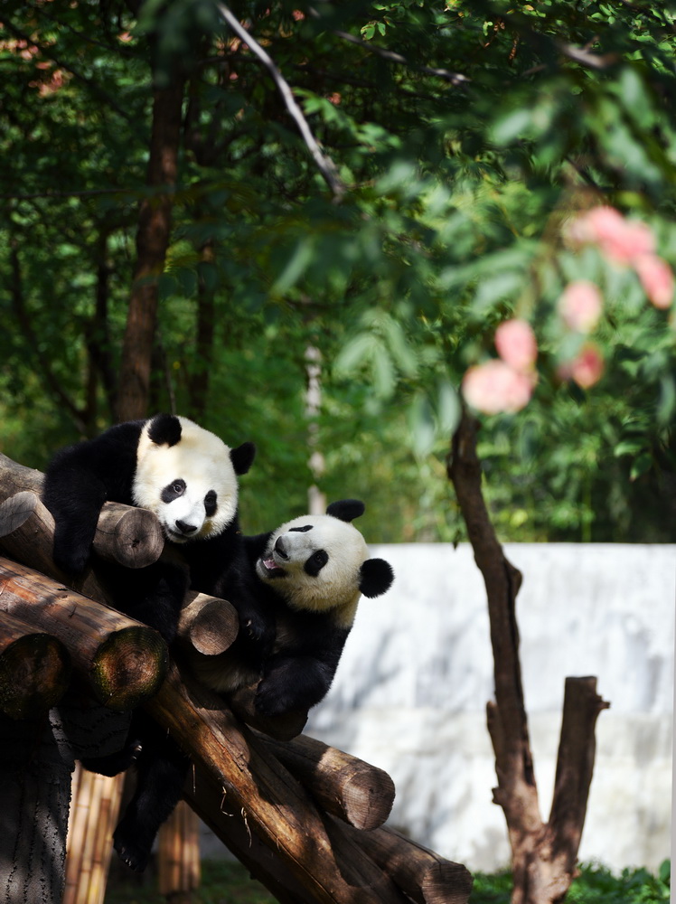 923؈؎X؈оґ