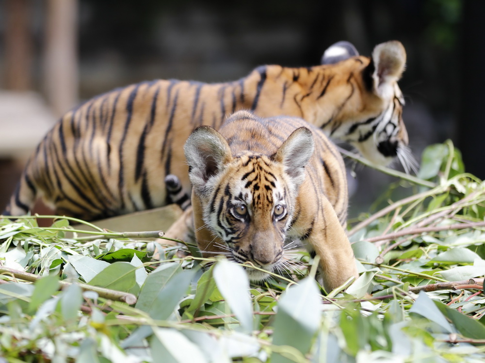 @928ĔzL¡ҰAϻp̥