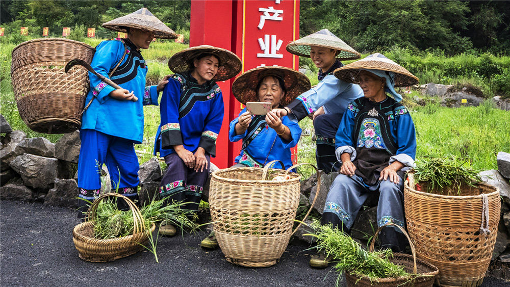 19.ʡP˿hǧƺ悄ٻ조һ~һһĿIؚeOWֲgMͥD鹤gϢrٻںľaI-z