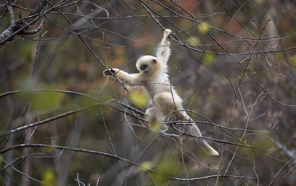 @1011r܇ҹ@̶zҰоĔzĽz Aӛ ˹ z