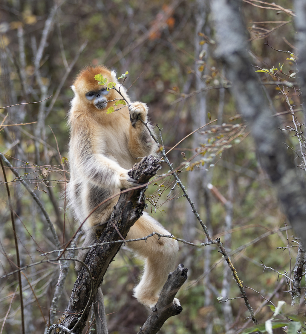 @1011r܇ҹ@̶zҰоĔzĽzAӛ ˹ z