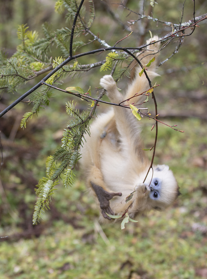 @1011r܇ҹ@̶zҰоĔzĽzAӛ ˹ z