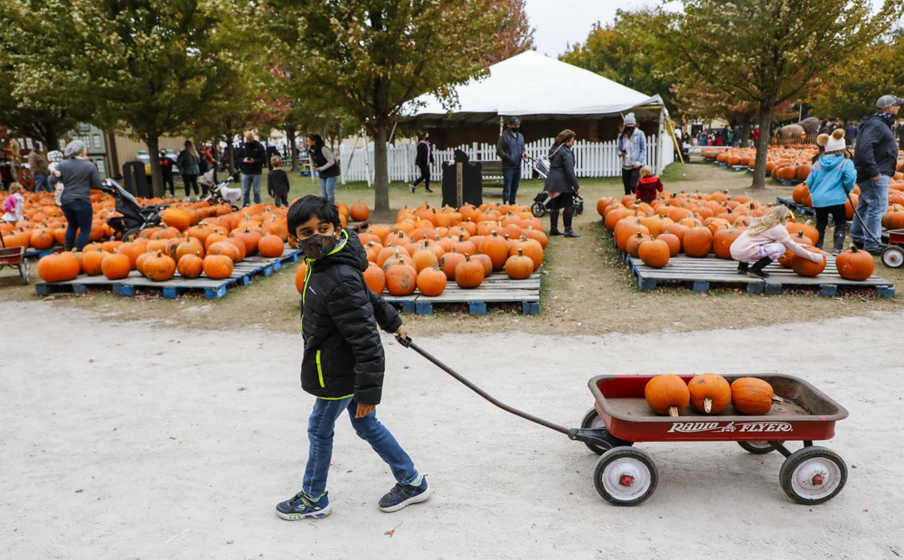 1017ZֿϿһкСϹϹϰ\Ϲ