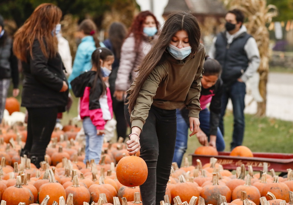 1017ZֿϿ˂СϹϹxϹ