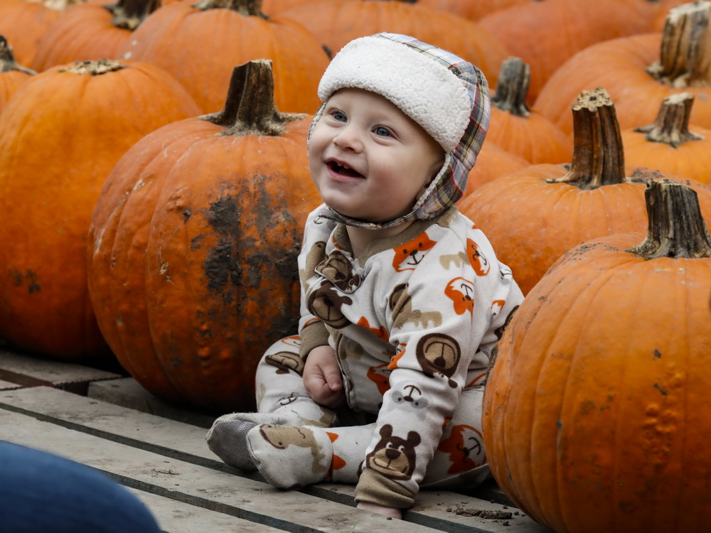 10月17日，在美國伊利諾伊州林肯郡，一名兒童在小鎮南瓜節上與南瓜合影。