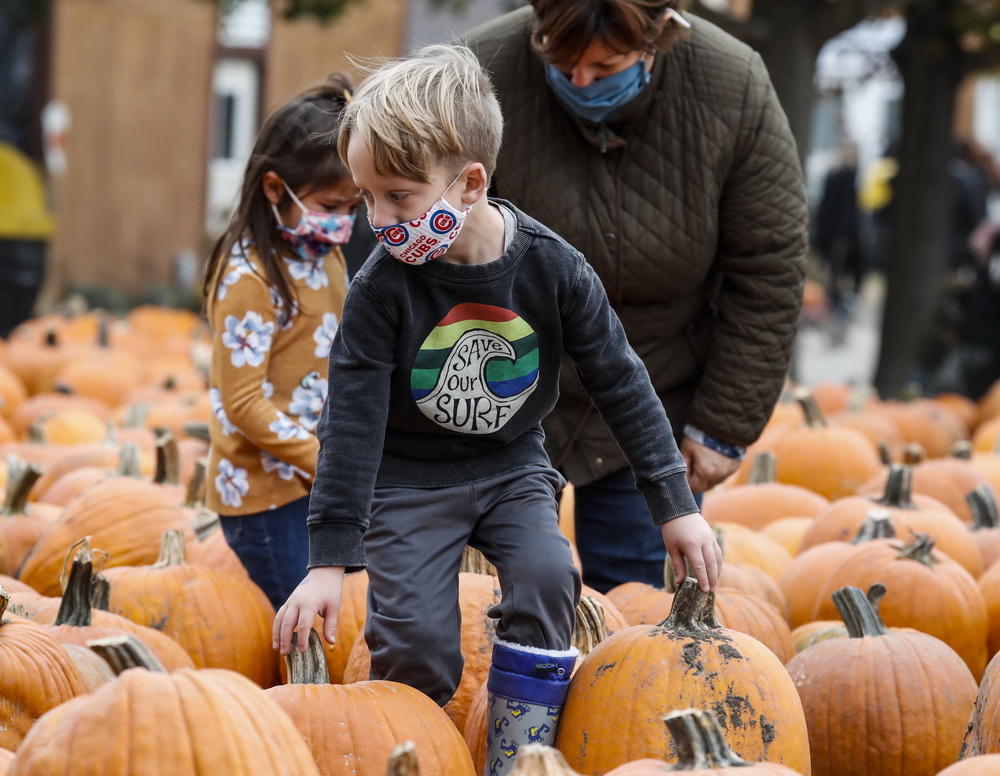 1017ZֿϿ˂СϹϹxϹ