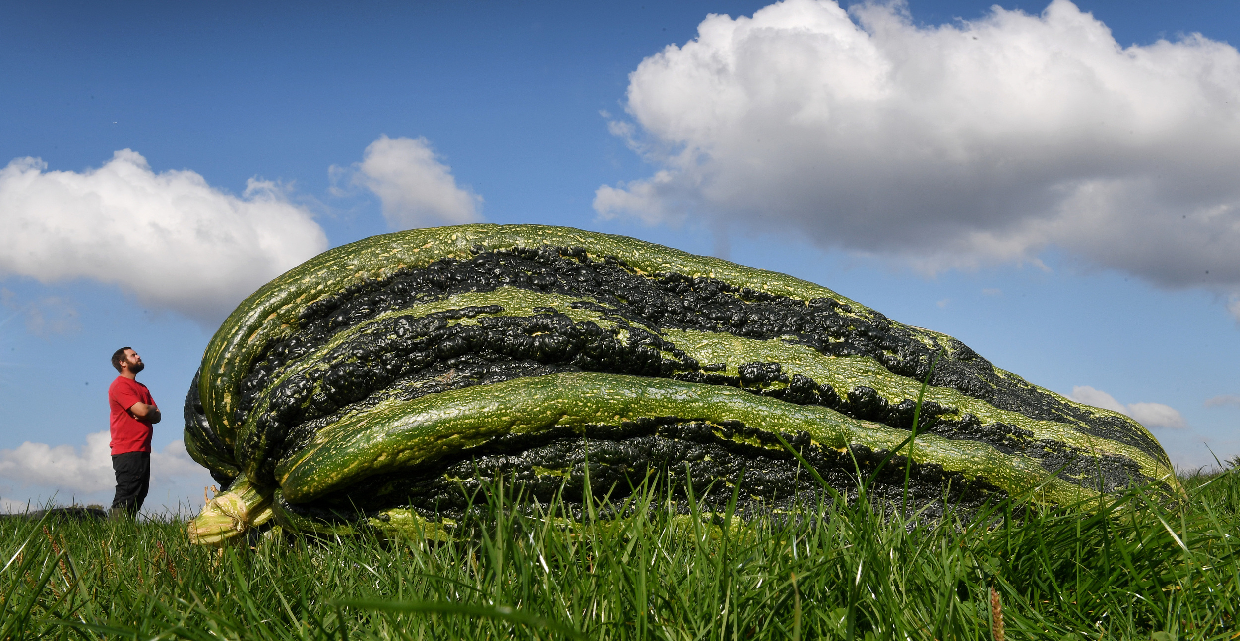 ӷNӢvʷJ ؼs91ǧˡ4