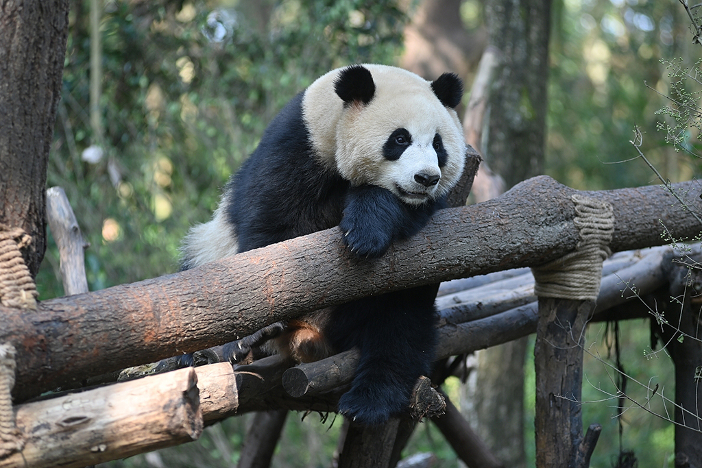 ɶĩӭů ؈ꖹg㼼ܡ3