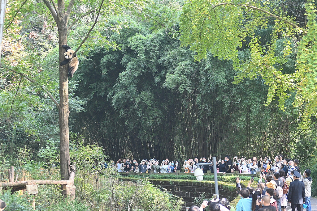 ɶĩӭů ؈ꖹg㼼ܡ6