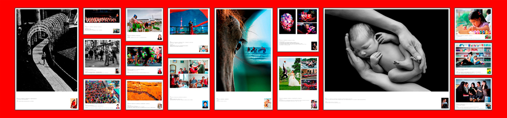 守望初心 幸福前行——海上女攝影家影藝薈作品展