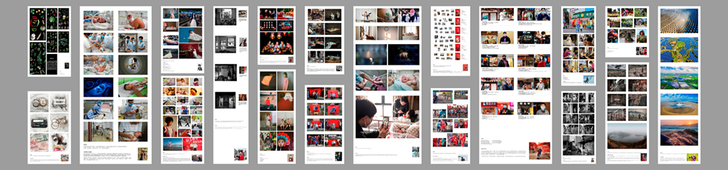 她們的“視眼”——浙江女攝影家協會作品展