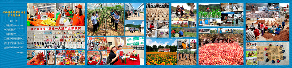 陜西省女攝影家協會會員作品展