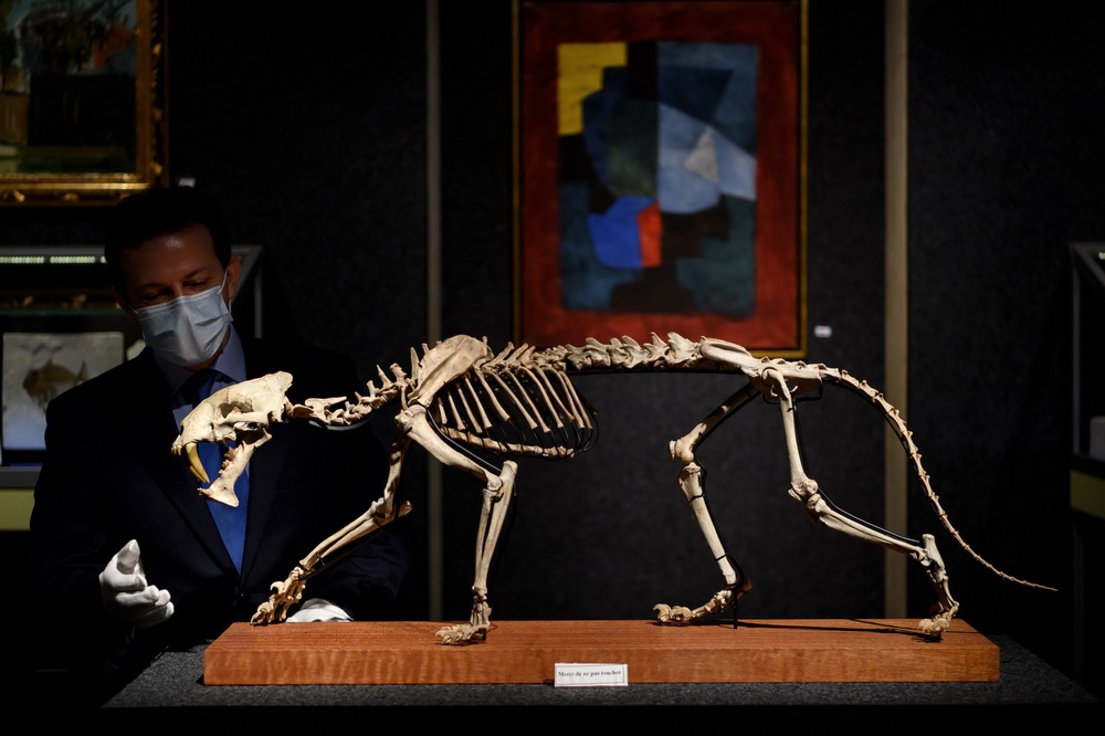 @121ʿՃƤwuuA[ĔzĄXǼܻʯ