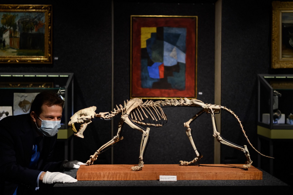 @121ʿՃƤwuuA[ĔzĄXǼܻʯ