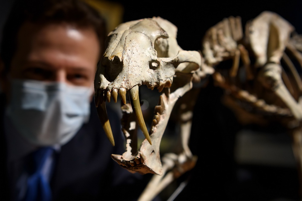 @121ʿՃƤwuuA[ĔzĄXǼܻʯ