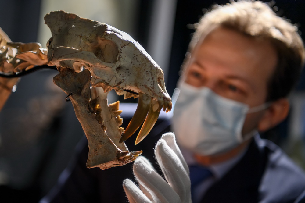 121ʿՃƤwuuA[Ƥwuп{¡ƤwվڄXǼܻʯ