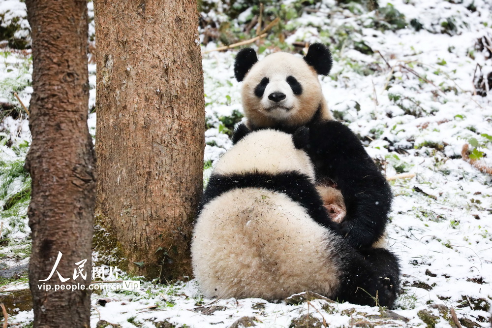 1229һֻ؈ڽoԼв