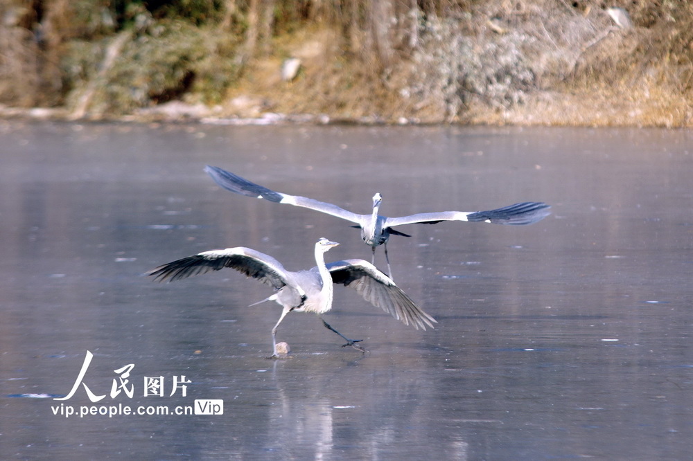 202115һȺBڱ׷ґ