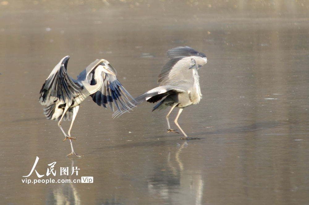 202115һȺBڱ׷ґ