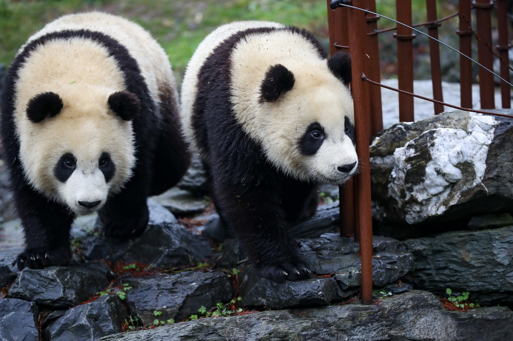 127؈p̥ܡ͡áڱrΟRÄ@ˣ