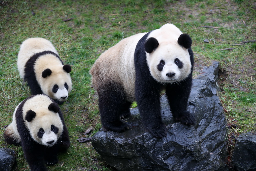 127؈úáp̡̥ܡ͡áڱrΟRÄ@ˣ