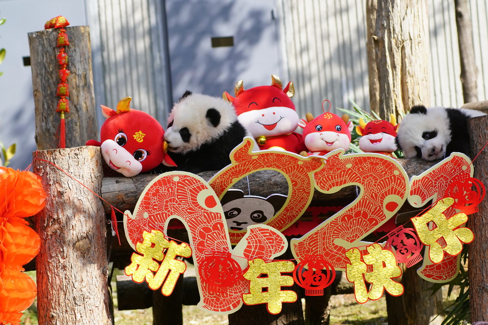 @23Ї؈oоĴPƺĔzĴ؈AlЇ؈oоĹD