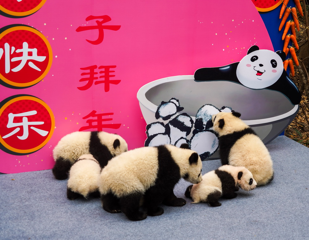 @24ڳɶ؈оaĔząc´ӵĴ؈