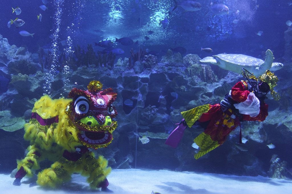 2��12�����R��������¡�³��г�ˮ���^�ĝ�ˮ�T������ؔ�񡱺͡��Ѫ{�������ˮ�б��������A��/��