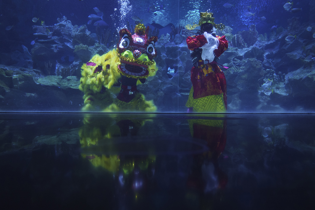 2��12�����R��������¡�³��г�ˮ���^�ĝ�ˮ�T������ؔ�񡱺͡��Ѫ{�������ˮ�б��������A��/��