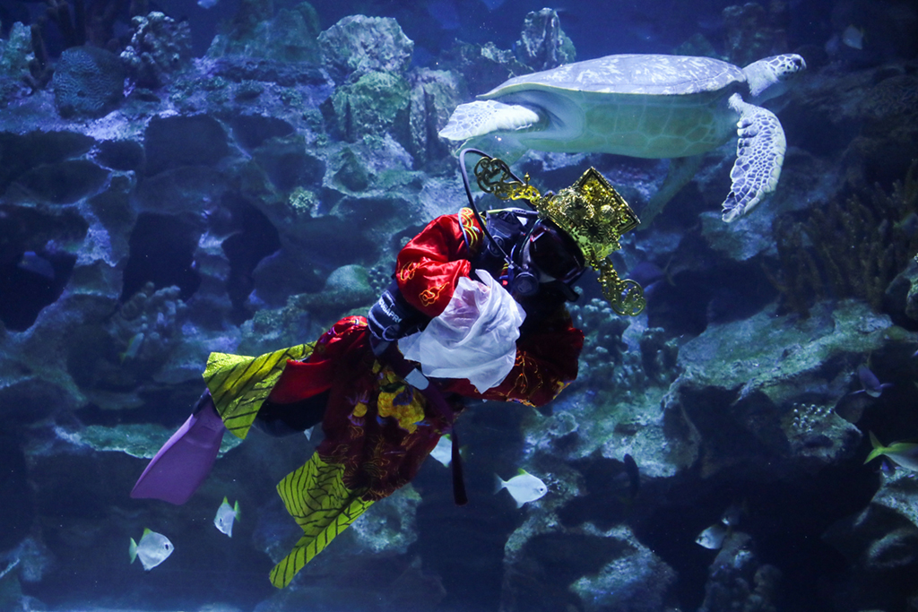 2��12�����R��������¡�³��г�ˮ���^�ĝ�ˮ�T������ؔ�񡱺͡��Ѫ{�������ˮ�б��������A��/��