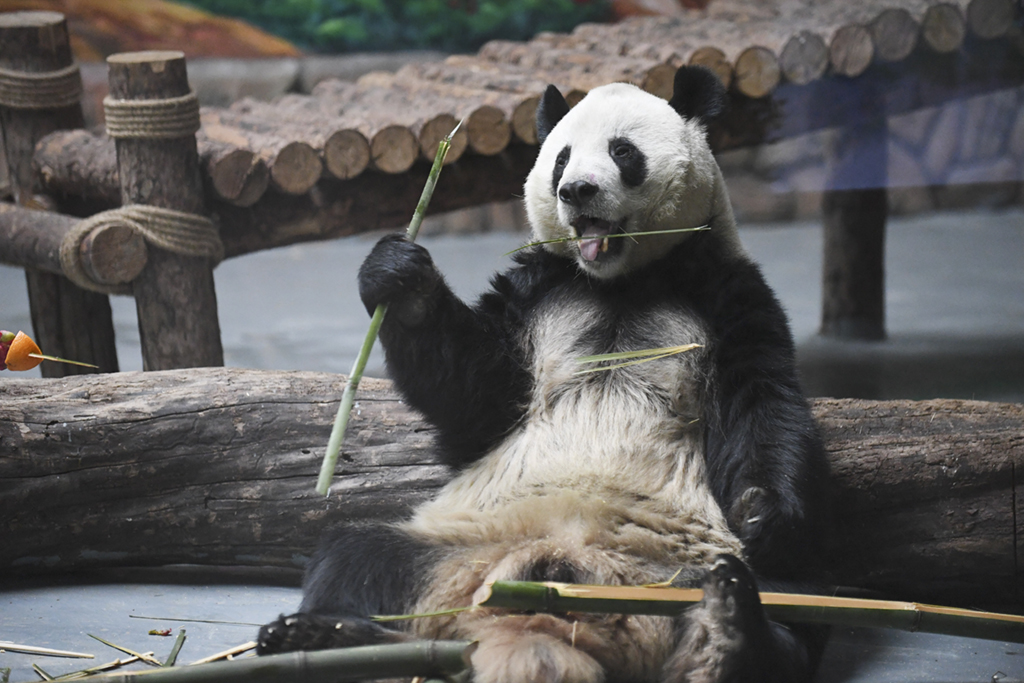 @212؈^ĔzĴ؈Aӛ  z