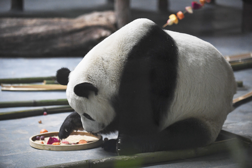 @212؈^ĔzĴ؈Aӛ  z