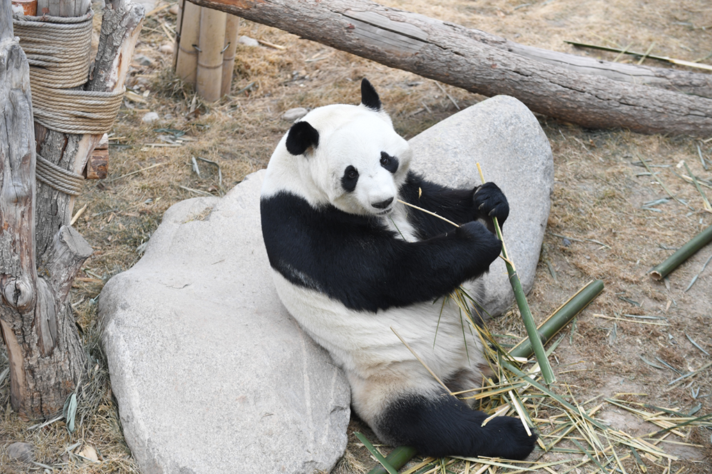 @212؈^ĔzĴ؈Aӛ  z