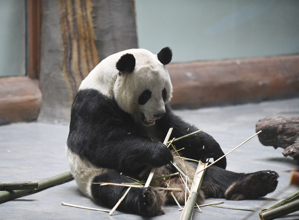 @212؈^ĔzĴ؈Aӛ ꐽ z