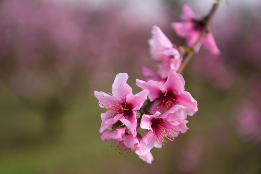 3��5�������������м{�Ĕz��һ̎�Ҙ����е��һ������A��/����