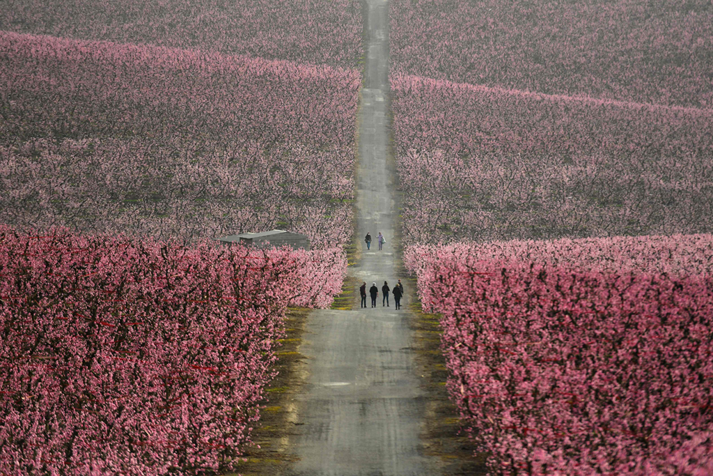 3��5�����˂������������м{һ̎�Ҙ�����ɢ�������A��/����