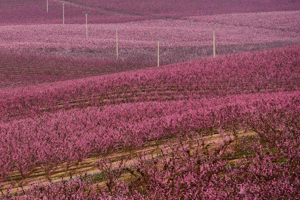 3��5�������������м{�Ĕz��һ̎�Ҙ��������A��/����