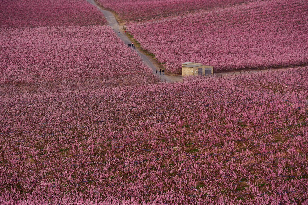 3��5�����˂������������м{һ̎�Ҙ�����ɢ�������A��/����