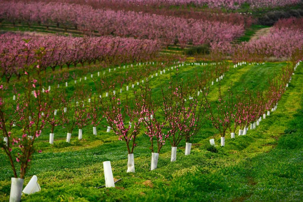 3��5�������������м{�Ĕz��һ̎�Ҙ��������A��/����