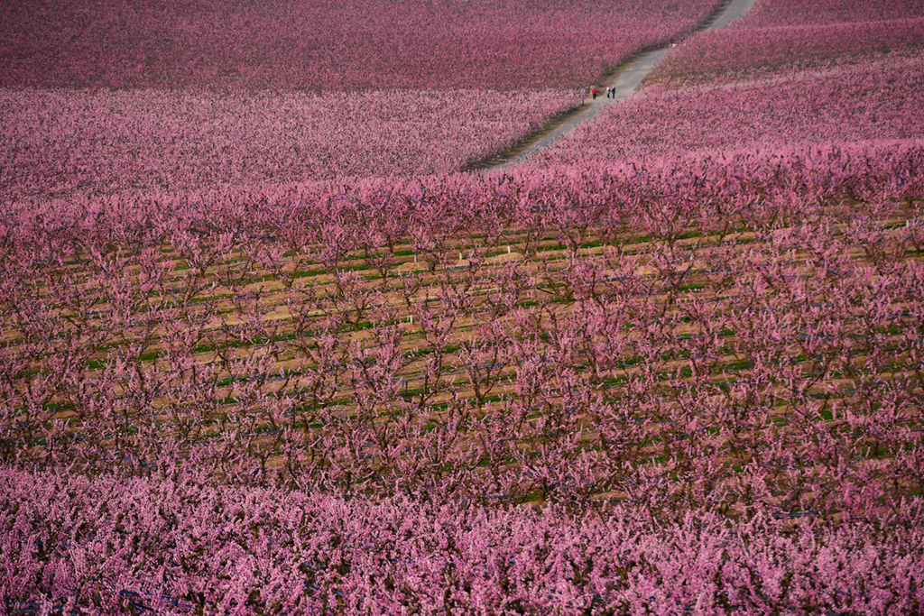 3��5�������������м{�Ĕz��һ̎�Ҙ��������A��/����