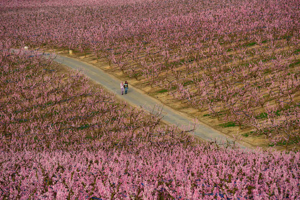 3��5�����˂������������м{һ̎�Ҙ�����ɢ�������A��/����