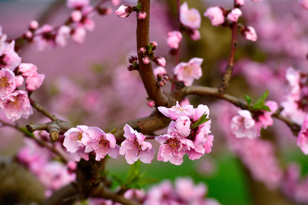 3��5�������������м{�Ĕz��һ̎�Ҙ����е��һ������A��/����