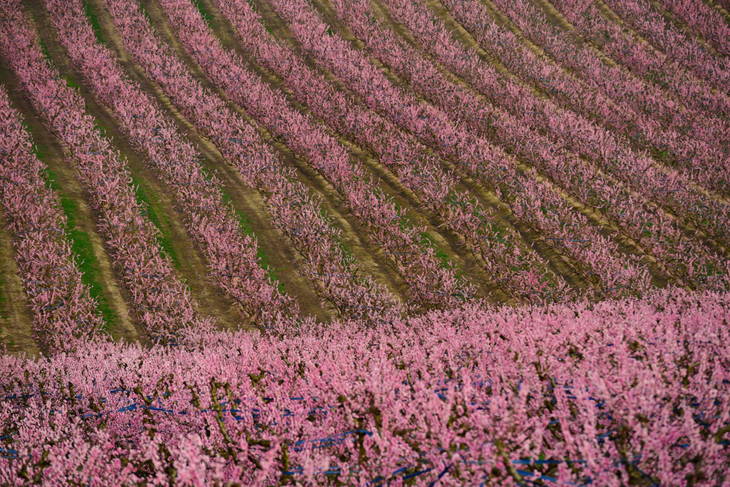 3��5�������������м{�Ĕz��һ̎�Ҙ��������A��/����