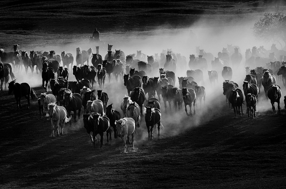 《牧馬人》 鄧慧娟攝影